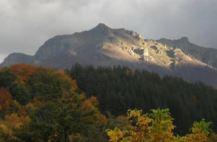 Roden Dom Gasthuis Apriltsi (Lovech)